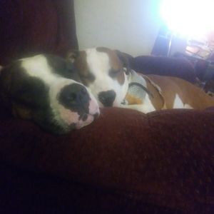 Meet your Posher, Sharon